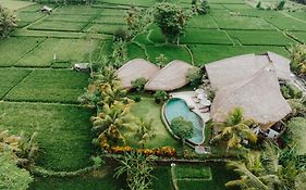 Villa Omah Padi Ubud by Adam Jyota Management